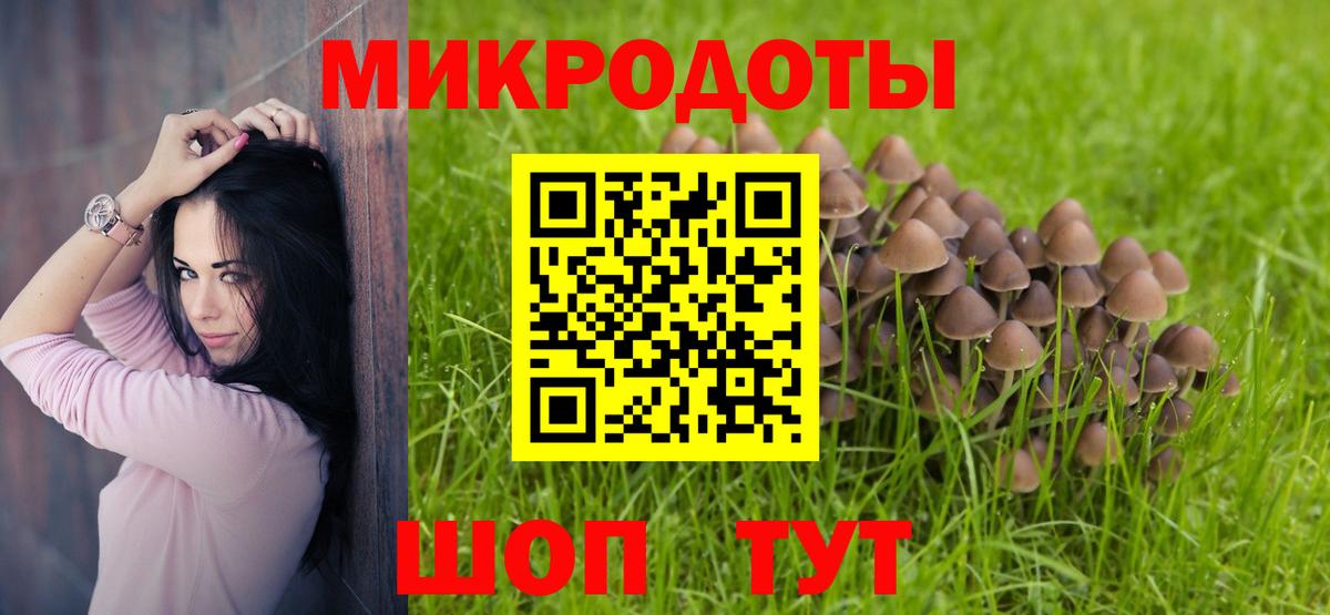 Галлюциногенные грибы Magic Shrooms  купить наркоту  Электрогорск  Вход с VPN  Галлюциногенные грибы мицелий 
