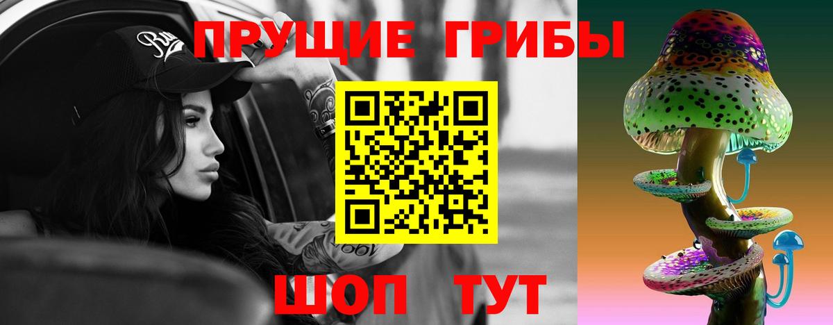 Псилоцибиновые грибы мухоморы Электрогорск